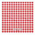 a close up of a red and white checkered shirt 